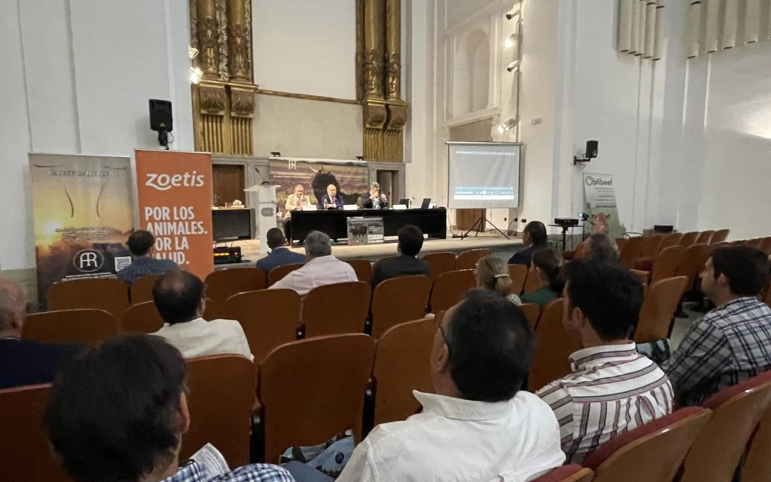 La Asociación Nacional de Criadores de la Raza Retinta celebrará mañana en Zafra sus X Jornadas Divulgativas