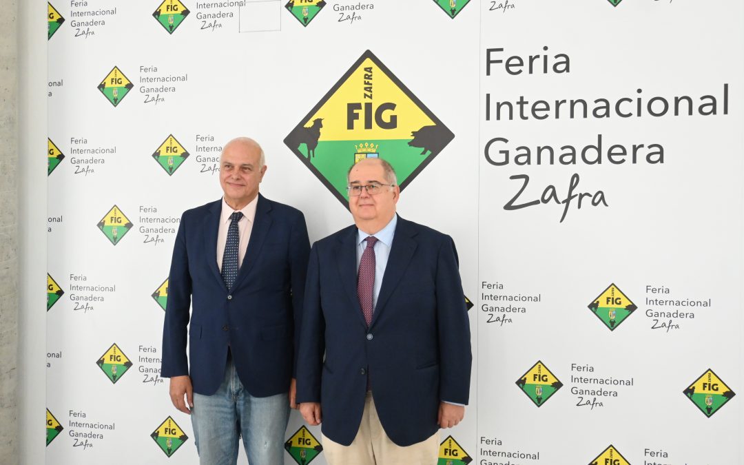 La FIG de Zafra y 573 de San Miguel contará con unas 2.000 cabezas de ganado y más de 330 expositores